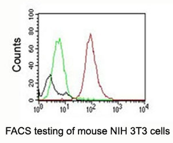 CD63 Antibody PE Conjugate