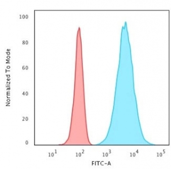 KRT8 Antibody / Cytokeratin 8