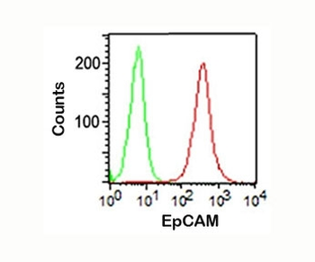 EpCAM Antibody