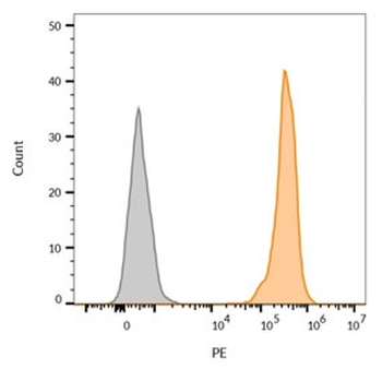EpCAM Antibody