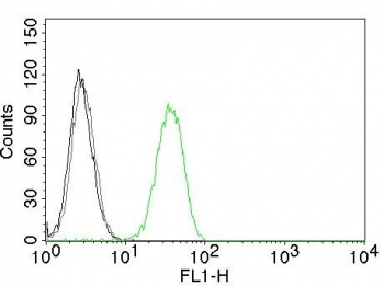 PECAM-1 Antibody / CD31