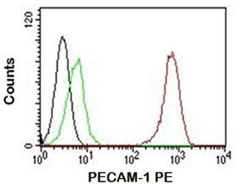 PECAM-1 Antibody PE Conjugate