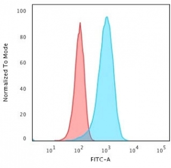 PGP9.5 / UchL1 Antibody