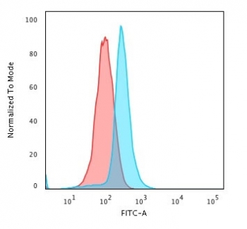 Bcl10 Antibody