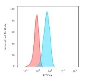 CD19 Antibody / B-lymphocyte marker