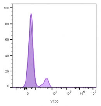 CD19 Antibody / B-lymphocyte marker