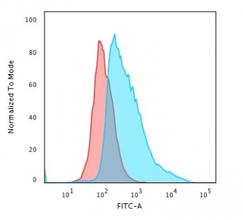 TOP1MT Antibody / Topoisomerase I mitochondrial