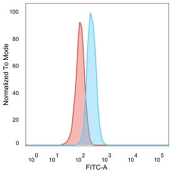 CCR5 Antibody