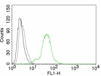 Estrogen Receptor beta Antibody