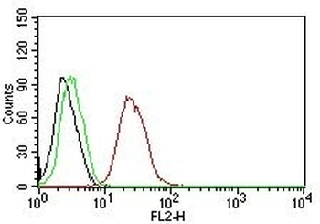 Estrogen Receptor beta Antibody