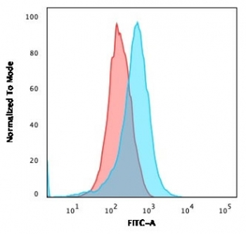 CD15 Antibody / SSEA-1