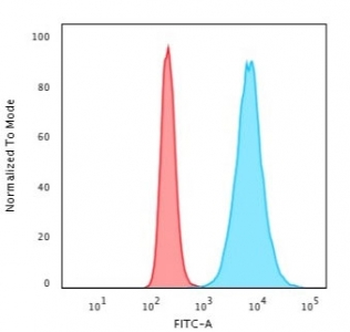 Histone H1 Antibody