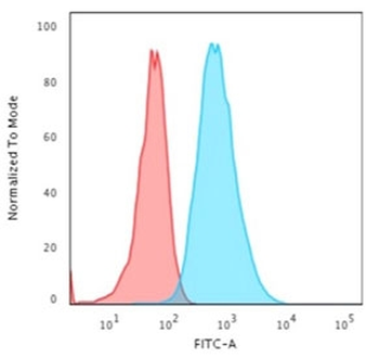 KRT7 Antibody / Cytokeratin 7