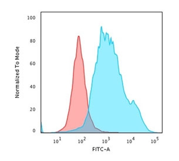 KRT7 Antibody / Cytokeratin 7