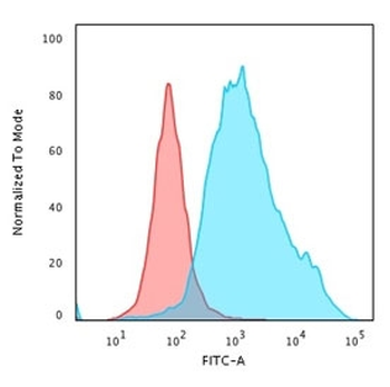 KRT7 Antibody / Cytokeratin 7