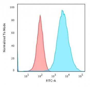 KRT19 Antibody / Cytokeratin 19