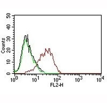 EpCAM Antibody