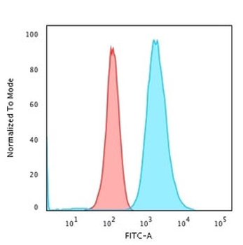 Moesin Antibody