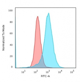 Nucleolin Antibody