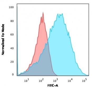 Neurofilament Antibody