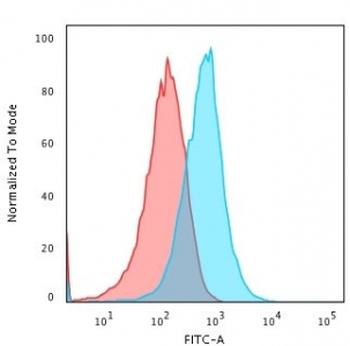 TNF alpha Antibody