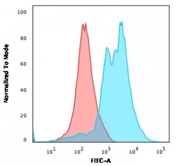 ZAP70 Antibody