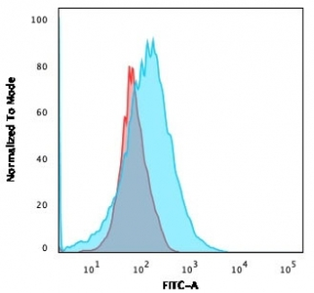 CD2 Antibody