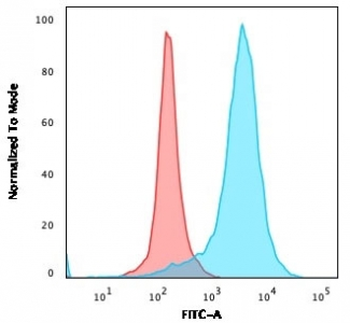 CD63 Antibody / LAMP3