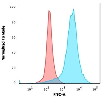 CD63 Antibody / LAMP-3