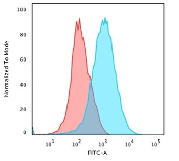 CD31 Antibody / PECAM-1