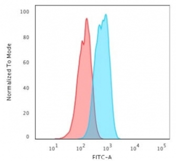E-Cadherin Antibody / CDH1