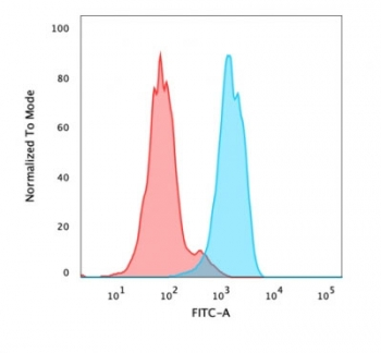 FOXA1 Antibody