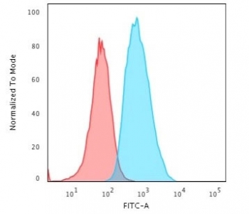 S100A4 Antibody / FSP1