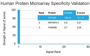 EpCAM Antibody