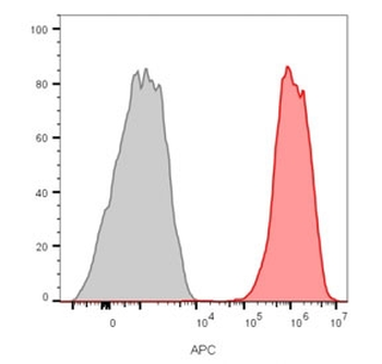 CD81 Antibody