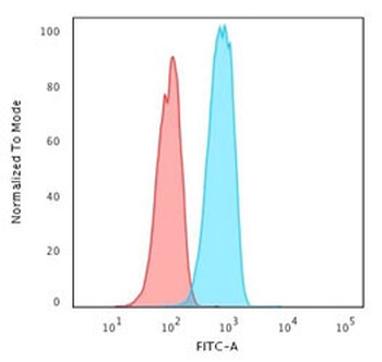 CD74 / CLIP Antibody