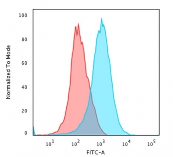 CD31 Antibody / PECAM-1