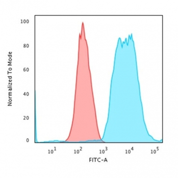 KRT8 Antibody / Cytokeratin 8