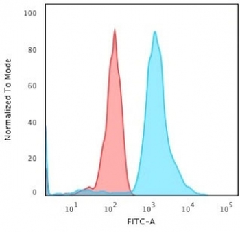 Bax Antibody