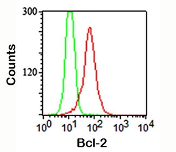 Bcl-2 Antibody