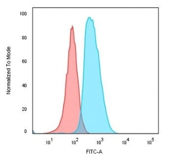CD74 / CLIP Antibody