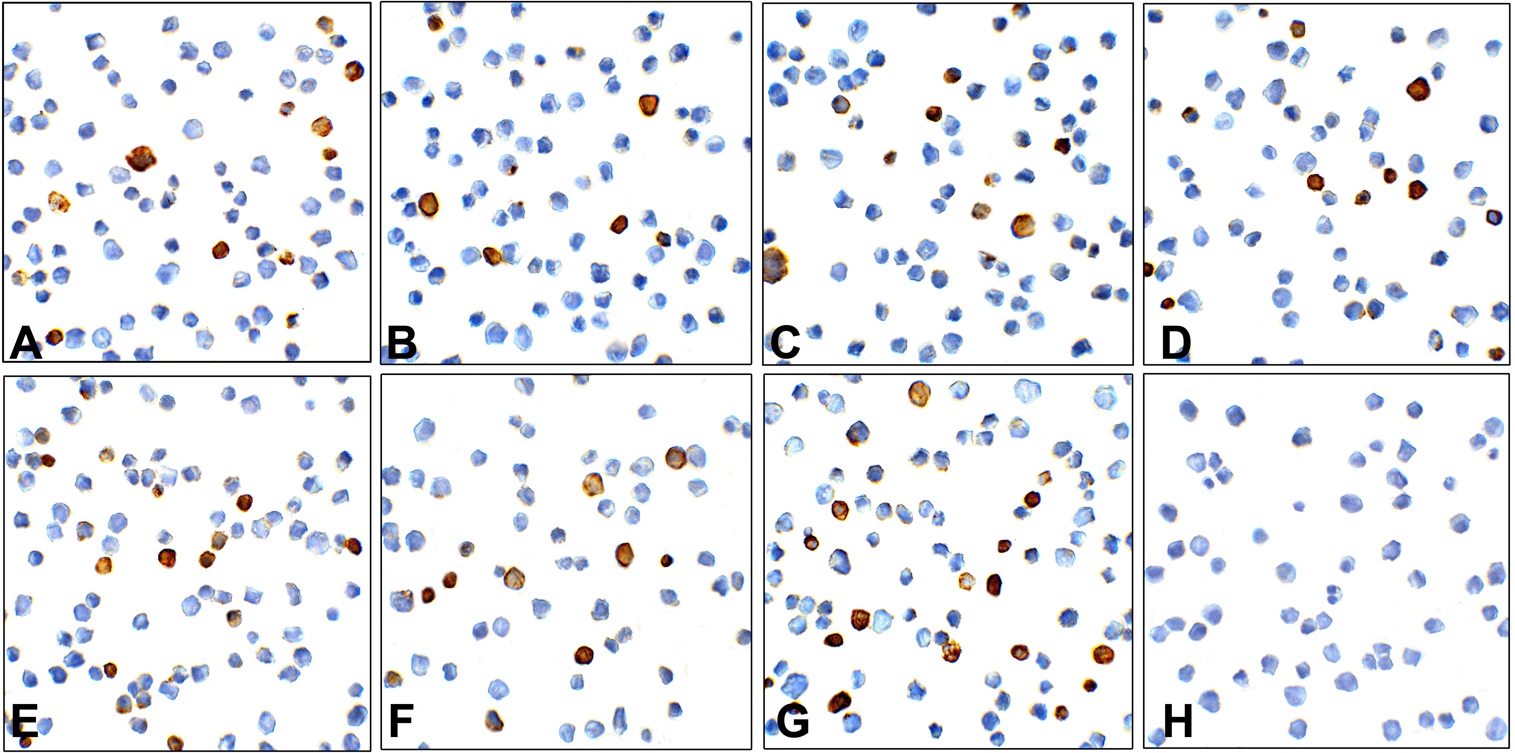 TIM-3 Detection Set (Risk Free)