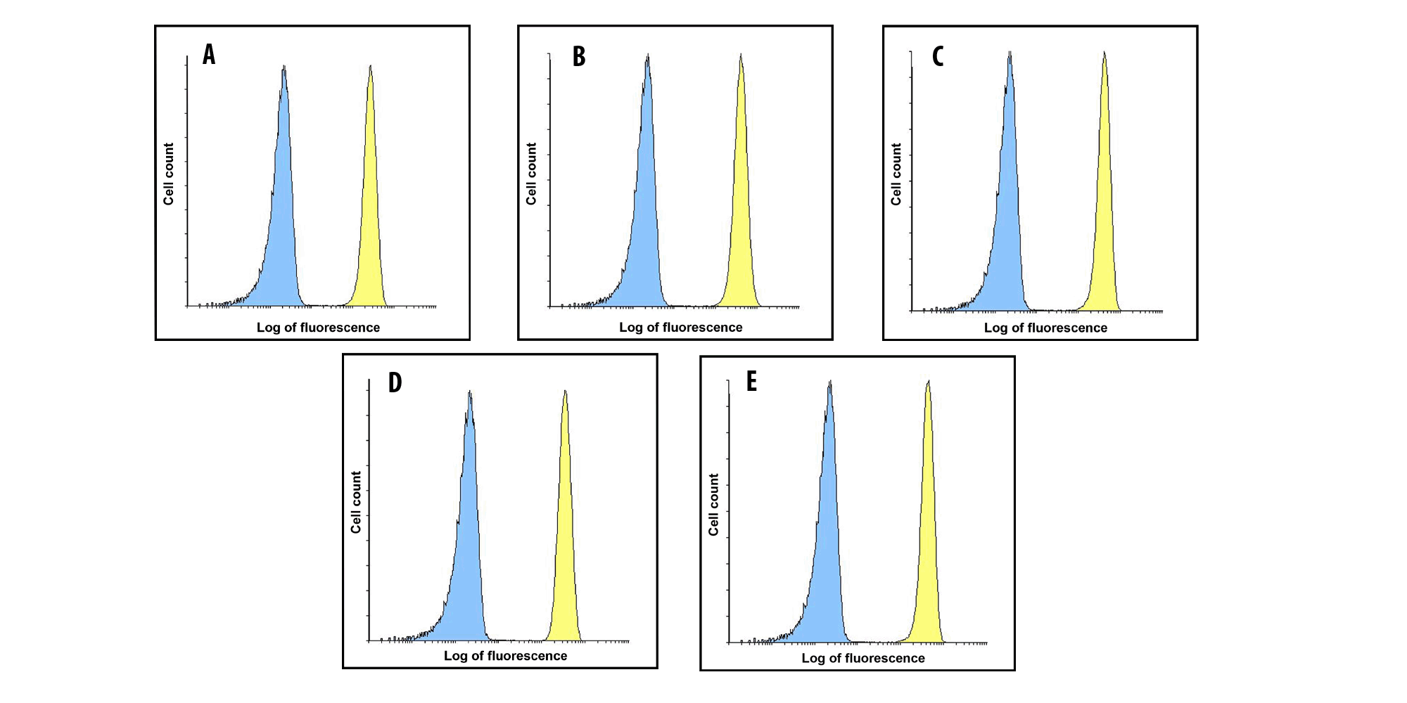 B7-H3 Detection Set (Risk Free)
