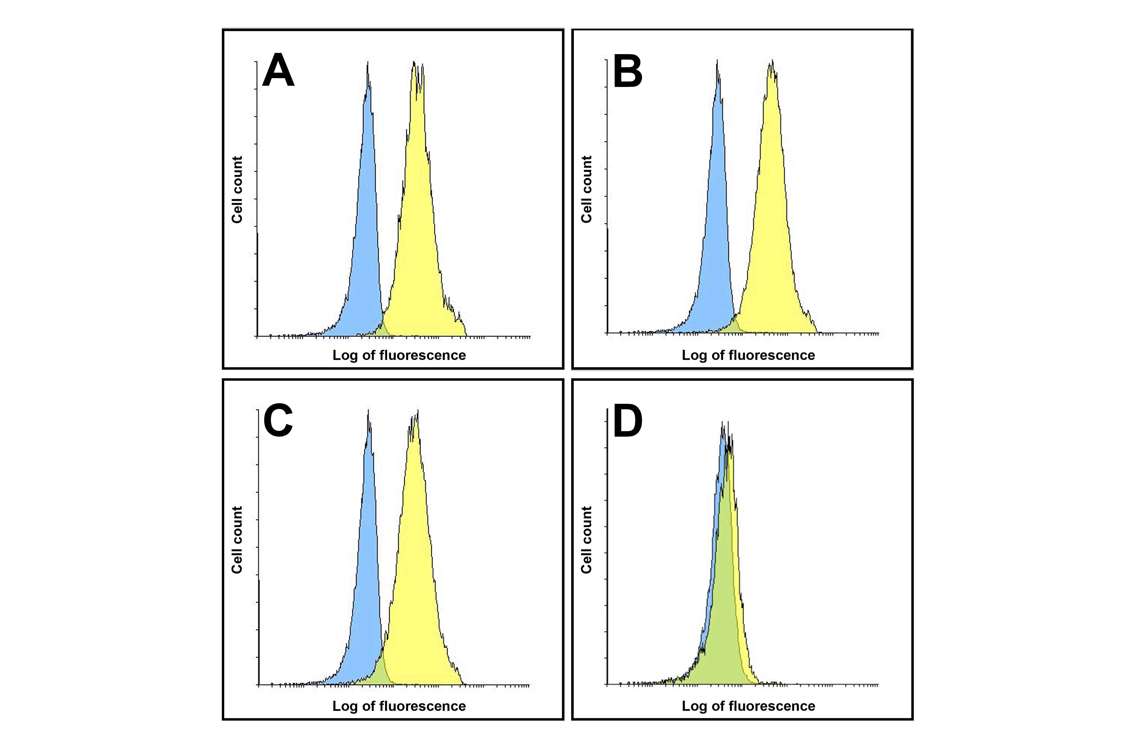 PDL1 Detection Set (Risk Free)