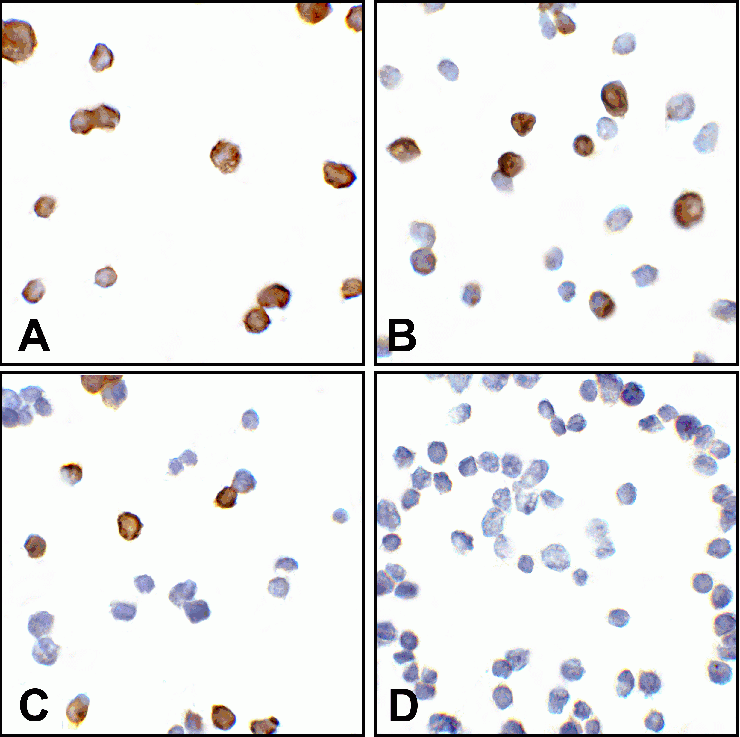 CTLA4 Detection Set (Risk Free)