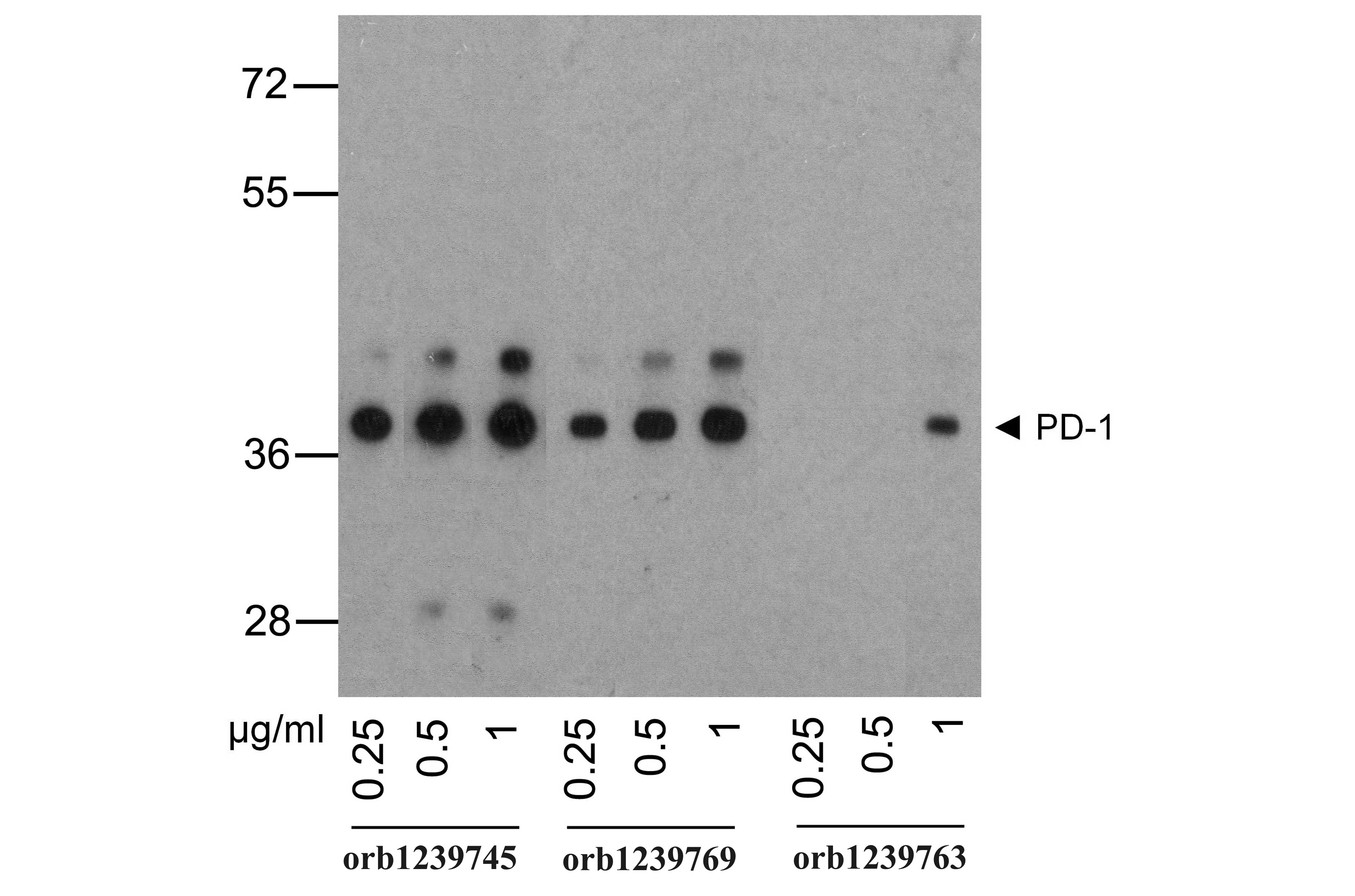 PD1 Detection Set (Risk Free)