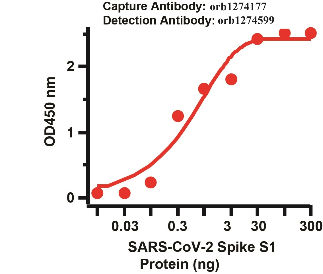 SARS-CoV-2 (COVID-19) Spike Matched Pair