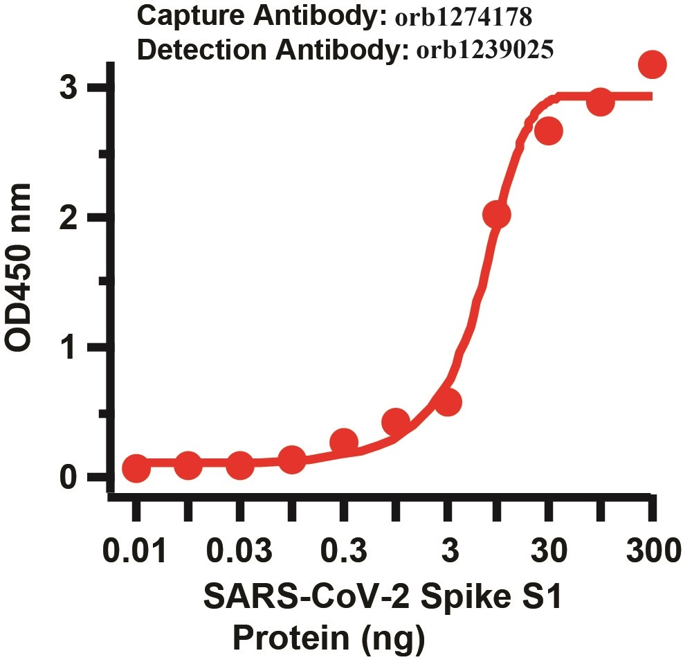 SARS-CoV-2 (COVID-19) Spike Matched Pair