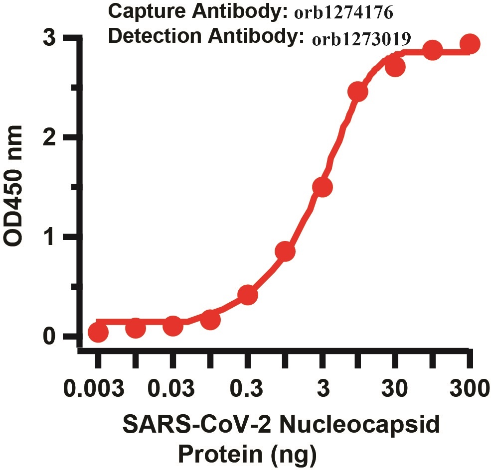 SARS-CoV-2 (COVID-19) Nucleocapsid Matched Pair