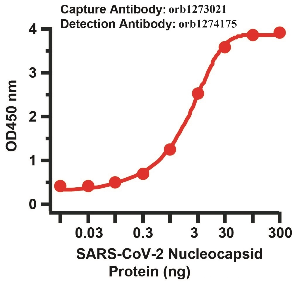 SARS-CoV-2 (COVID-19) Nucleocapsid Matched Pair